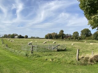Ferienwohnung Wesselburen Außenaufnahme 4