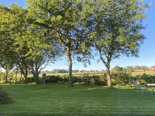 Blick aus dem Wohnzimmer