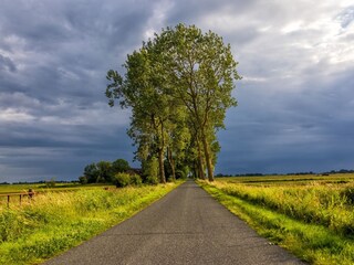 Herrliche ebene Fahrradwege