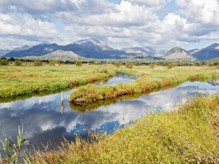 Villa Playa de Muro Omgeving 39