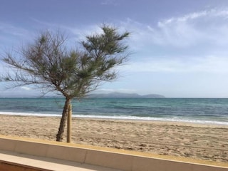 Villa Playa de Muro Omgeving 18