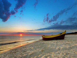 Villa Playa de Muro Omgeving 38