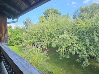 Sommer - Sonne - Garten