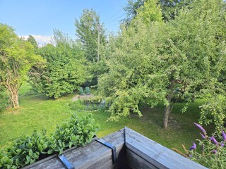 Blick zum Garten mit Teich.