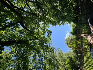 Vakantieappartement Übersee Buitenaudio-opname 9