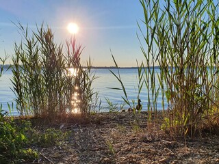 Appartamento per vacanze Übersee Ambiente 26