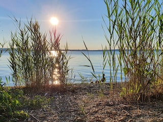 Vakantieappartement Übersee Omgeving 27