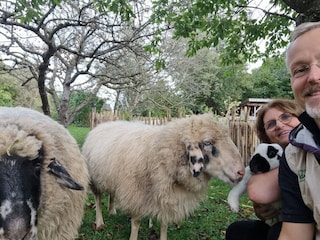 Appartement de vacances Übersee Document 41