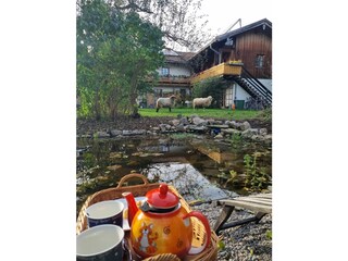 Vakantieappartement Übersee Buitenaudio-opname 7