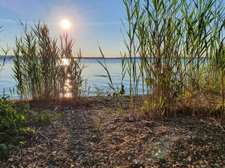 Appartamento per vacanze Übersee Ambiente 29