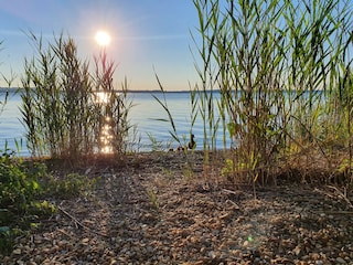 Appartement de vacances Übersee Environnement 30