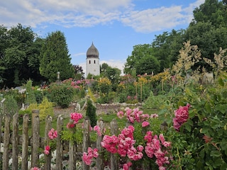 Appartement de vacances Übersee Environnement 32