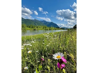 Appartement de vacances Übersee Environnement 32