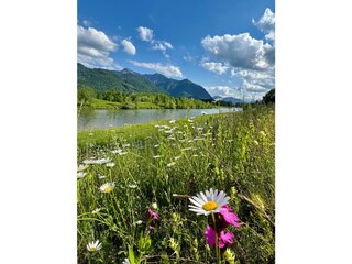 Vakantieappartement Übersee Omgeving 34