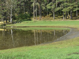 Vakantiehuis Welt  30