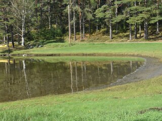 Holiday house Welt  15