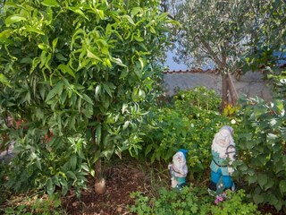 Appartement Brodarica Enregistrement extérieur 3