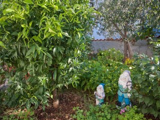 Appartement Brodarica Enregistrement extérieur 3