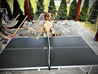 Casa per le vacanze Mielenko  35