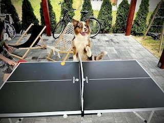 Holiday house Mielenko  35