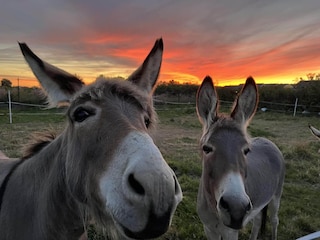 Casa de vacaciones Mielenko  36