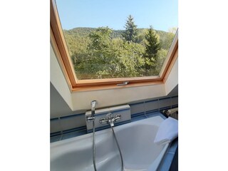 Badezimmer mit Waldblick