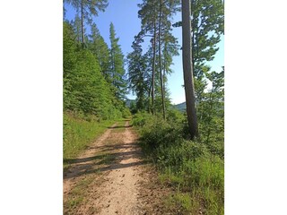 Herrliche Wanderwege