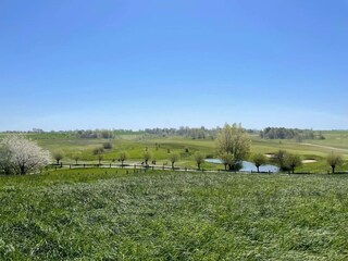 Ferienhaus Anderslöv  10