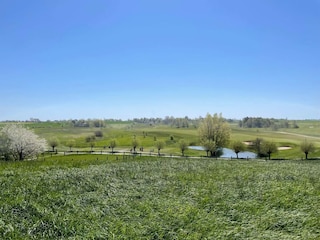 Ferienhaus Anderslöv  8