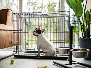 Parc de vacances Nieuwvliet  28