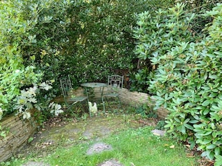 Ferienhaus Sint Maartenszee Außenaufnahme 6