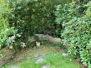 Maison de vacances Sint Maartenszee Enregistrement extérieur 5