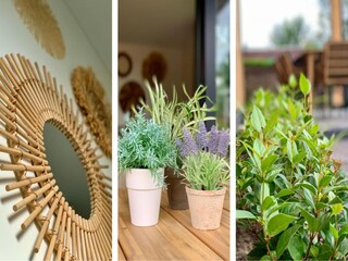 Vakantiehuis Sint Maartenszee Buitenaudio-opname 7