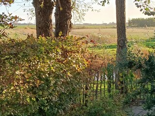 Casa per le vacanze Sint Maartenszee Caratteristiche 29