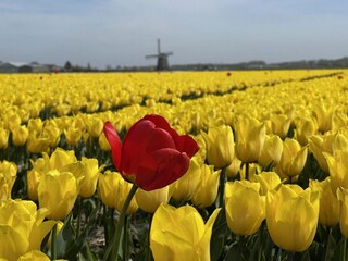 Vakantiehuis Sint Maartenszee  22