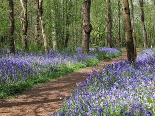 Holiday house Sint Maartenszee  23