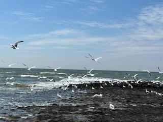 Holiday house Sint Maartenszee Environment 11