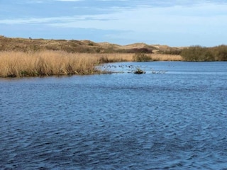 Holiday house Sint Maartenszee Environment 17