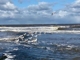 Holiday house Sint Maartenszee Environment 30