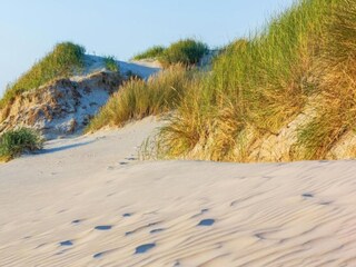 Vakantiehuis Sint Maartenszee Omgeving 28