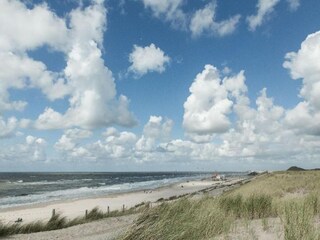 Vakantiehuis Sint Maartenszee Omgeving 32
