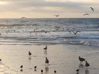 Casa per le vacanze Sint Maartenszee Ambiente 27