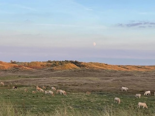 Casa per le vacanze Sint Maartenszee Ambiente 32