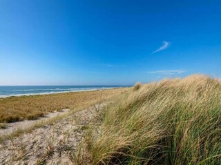 Maison de vacances Sint Maartenszee Environnement 30