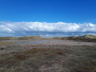 Casa de vacaciones Sint Maartenszee Entorno 37