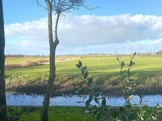 Vakantiehuis Burgerbrug Omgeving 19