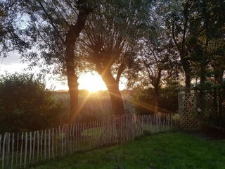 Holiday house Burgerbrug Environment 25