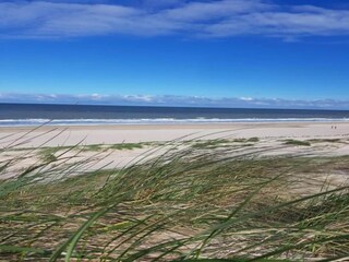 Holiday house Petten Environment 17