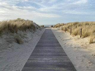 Casa de vacaciones Petten Entorno 26