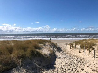 Casa de vacaciones Petten Entorno 28